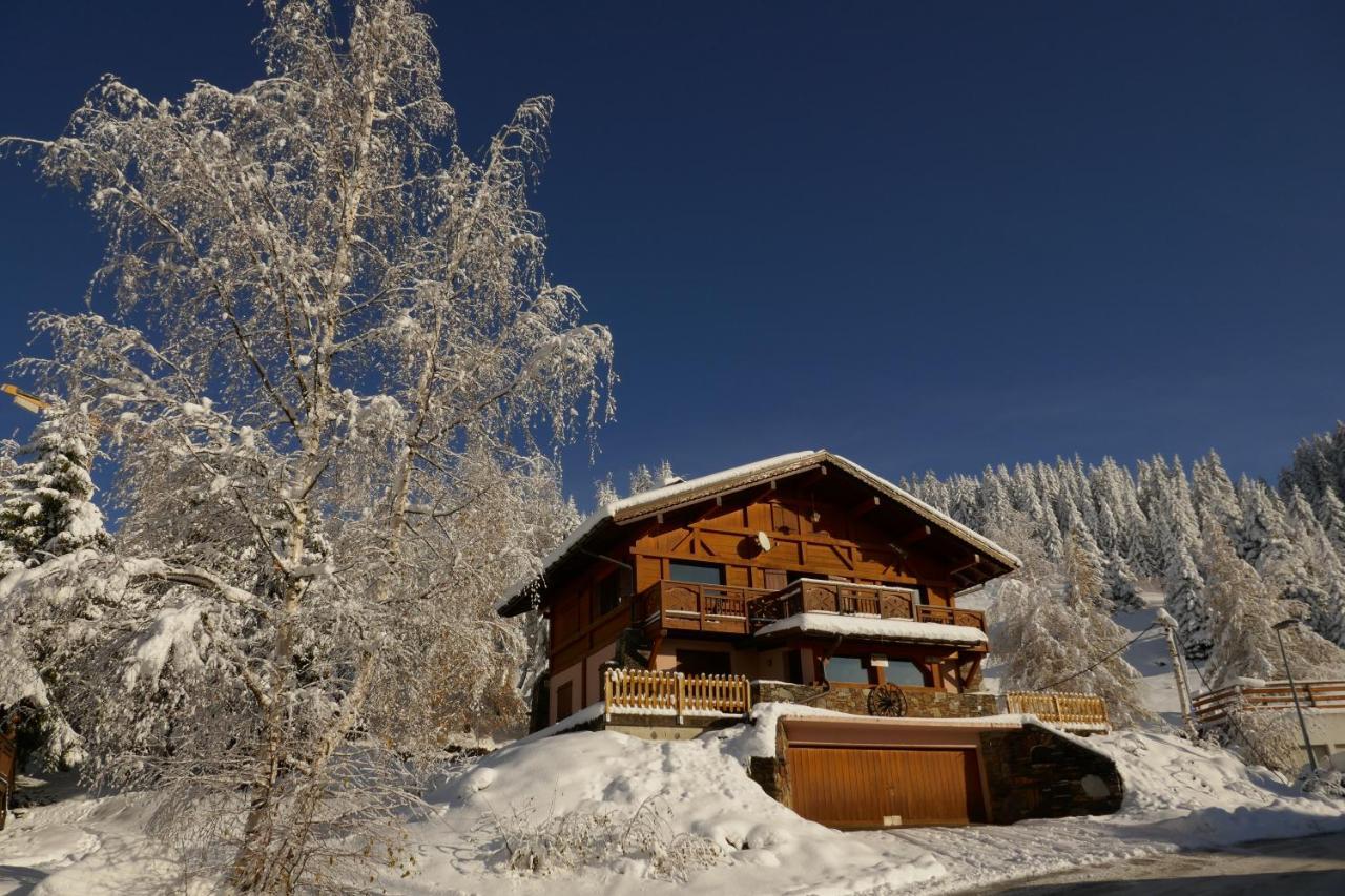 Les Saisies côté Bisanne appartement dans chalet LE Népal Extérieur photo