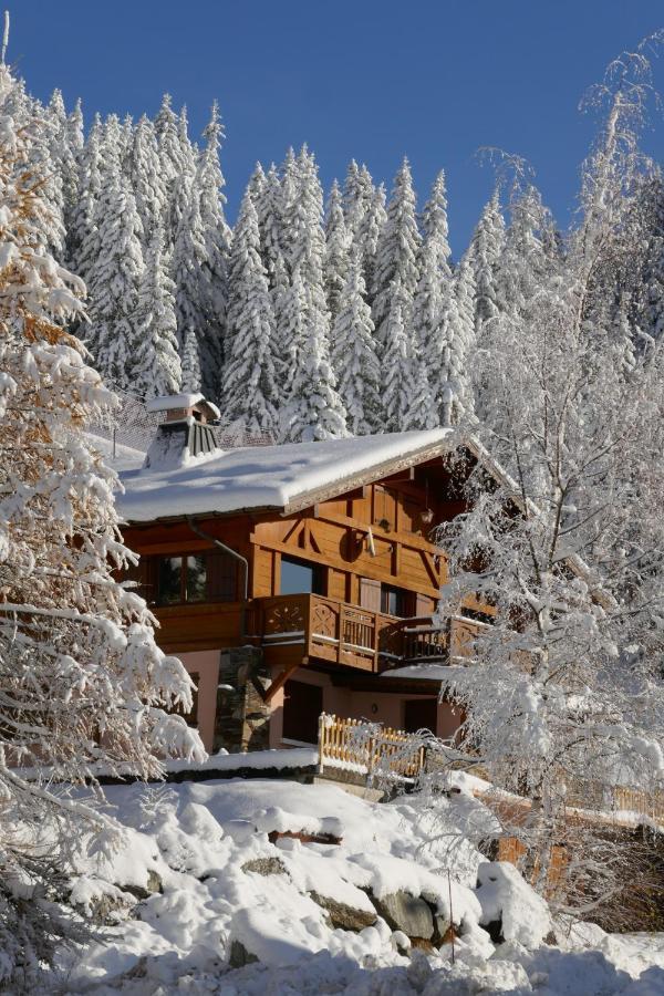 Les Saisies côté Bisanne appartement dans chalet LE Népal Extérieur photo